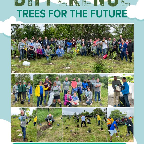 Tree-Planting-Picture-Vexos